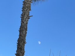 147-30-12-2025 IMG_6481